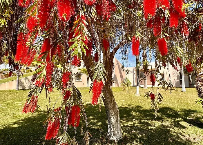 Seventies - Private Pool - 16 Guests - Quarteira * 奎特里拉